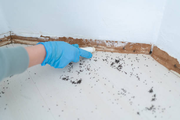 Best Pest Prevention Services  in Half Moon, NC